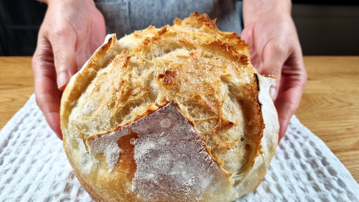 Fluffiest Round Loaf Bread by Food Language