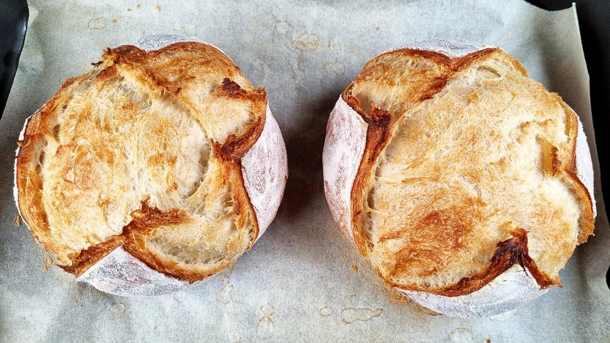 Incredible biga bread by Food Language