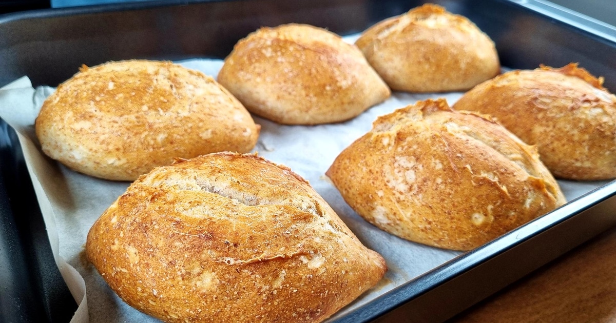 Whole Wheat Bread Rolls