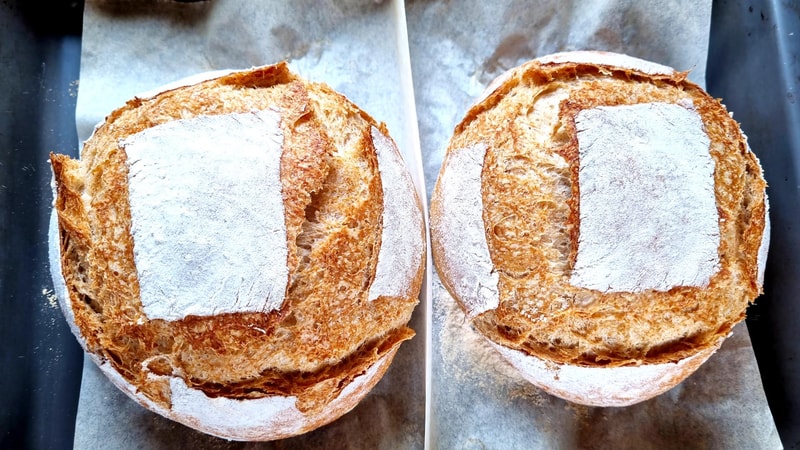 Perfect Whole Wheat Bread Recipe