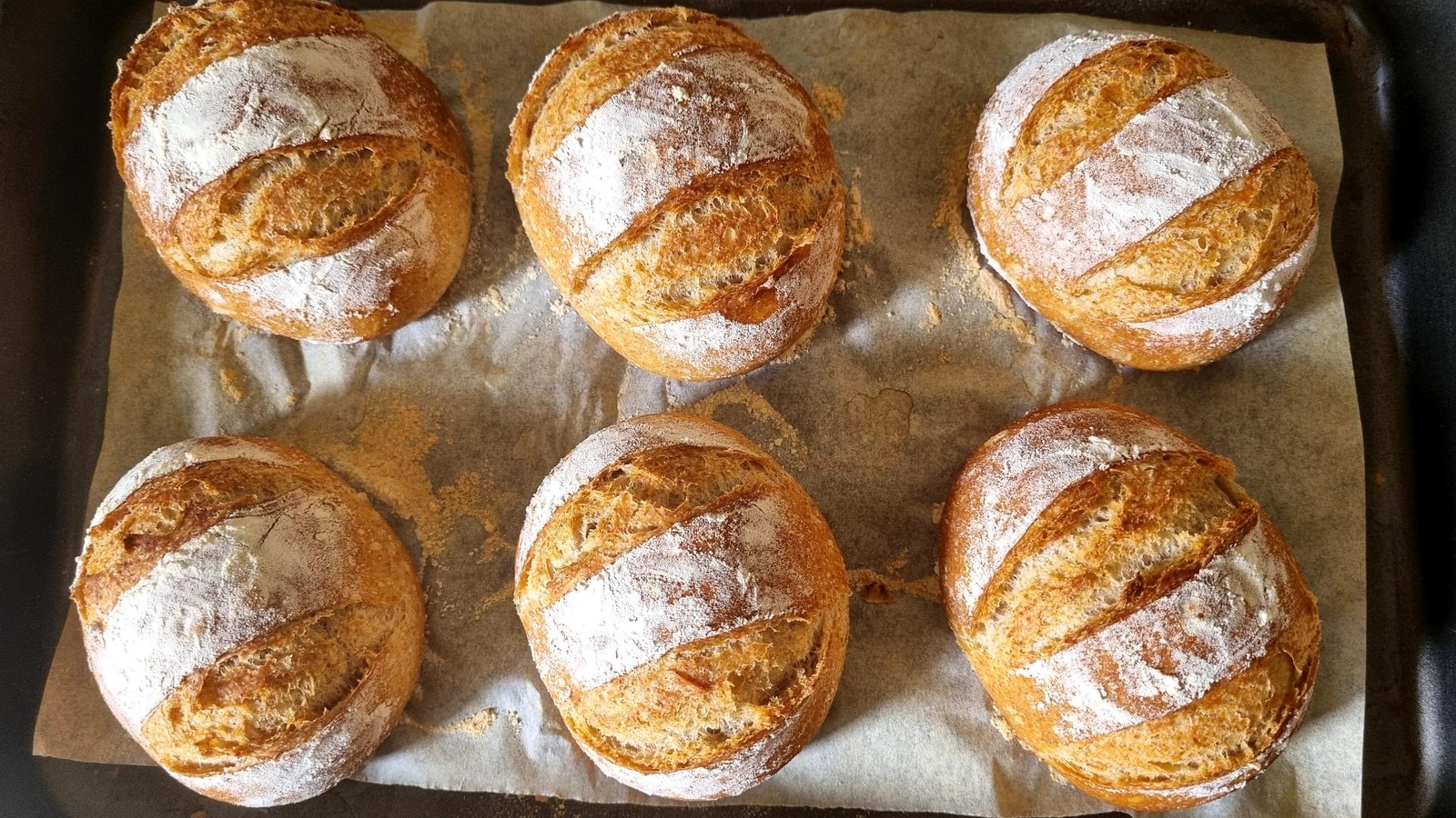 Quick Whole Wheat Bread